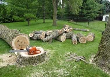 Stump Removal Services in Tualatin: The Benefits of Professional Care sidebar image